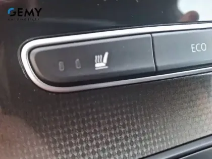 Photo 26 Renault Scenic Grand  TCe 160 EDC