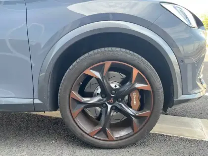 Photo 15 Cupra Formentor  2.0 TSI 310 ch DSG7 4Drive