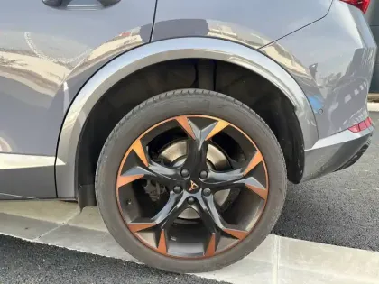 Photo 17 Cupra Formentor  2.0 TSI 310 ch DSG7 4Drive