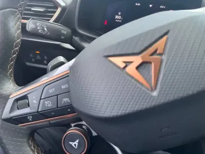 Photo 24 Cupra Formentor  2.0 TSI 310 ch DSG7 4Drive