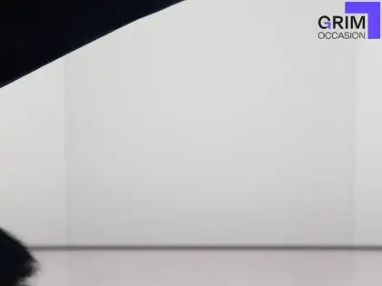 Photo 26 Ford Puma  1.0 EcoBoost 125 ch mHEV S&S BVM6