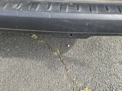 Photo 19 Renault Kangoo  VAN BLUE DCI 95