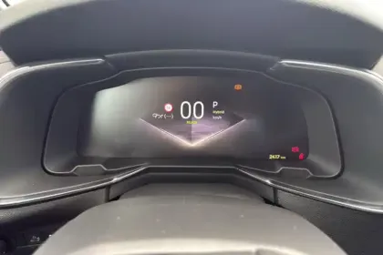 Photo 16 DS DS 7  Hybride Rechargeable E-Tense 300 EAT8 4x4