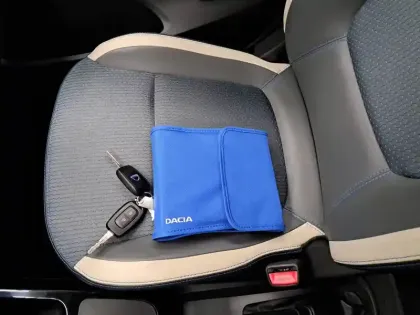 Photo 37 Dacia Spring  Achat Intégral