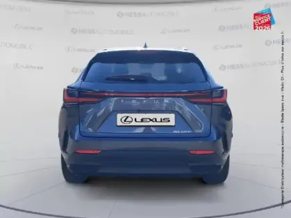 Photo 6 Lexus Nx  350h 200ch Luxe 2WD MY26