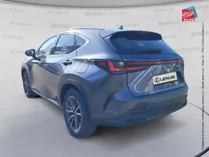 Photo 7 Lexus Nx  350h 200ch Luxe 2WD MY26