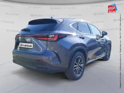 Photo 5 Lexus Nx  350h 200ch Luxe 2WD MY26