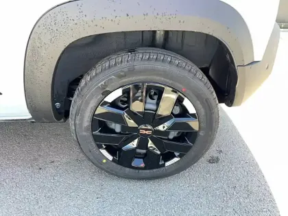 Photo 19 Dacia Spring  electric 100