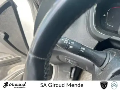 Photo 20 Renault Scenic  Blue dCi 120 EDC