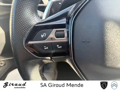 Photo 22 Peugeot 3008  BlueHDi 130ch S&S EAT8