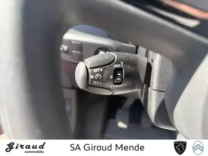 Photo 19 Citroën C3  BlueHDi 100 BVM6