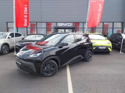 Photo Byd Dolphin Comfort