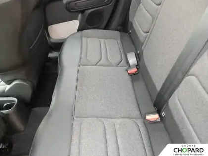 Photo 10 Citroën C3  BlueHDi 100 S&S BVM6