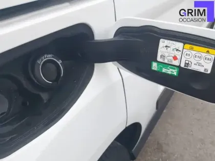 Photo 19 Ford Transit Connect  FGN L1 1.0E100 E85 S&S