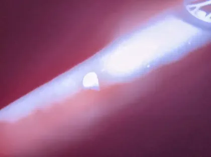 Photo 14 Ford Kuga 2.5 Duratec 225ch PowerSplit PHEV Titanium e-CVT