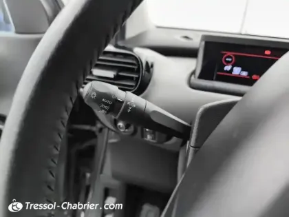 Photo 16 Citroën C4  Cactus BlueHDi 100 S&S BVM6 Shine