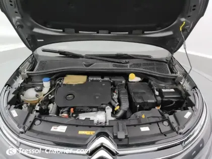 Photo 6 Citroën C4  Cactus BlueHDi 100 S&S BVM6 Shine