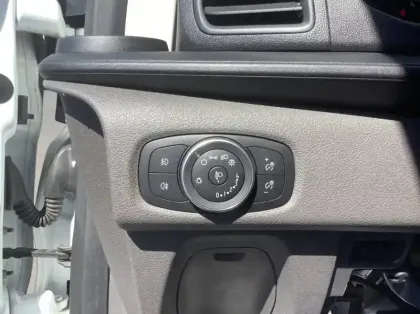 Photo 22 Ford Custom 300 L2H2 2.0 ECOBLUE 130 TREND BUSINESS