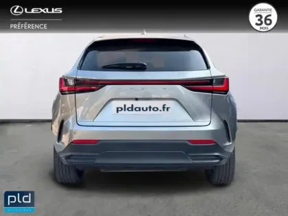Photo 6 Lexus Nx  450h+ Executive 4WD MY24