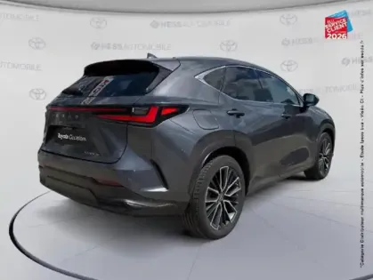 Photo 20 Lexus Nx  450h+ Executive 4WD MY24