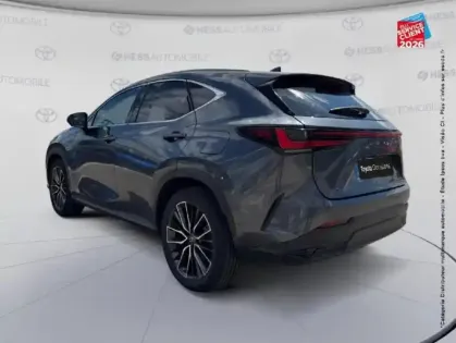 Photo 22 Lexus Nx  450h+ Executive 4WD MY24