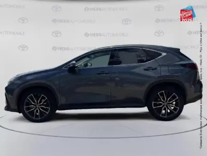 Photo 8 Lexus Nx  450h+ Executive 4WD MY24