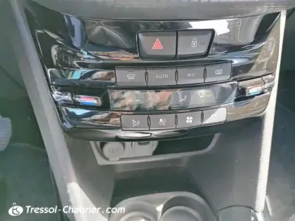 Photo 21 Peugeot 2008  BlueHDi 100ch S&S BVM5 Allure