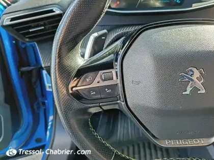 Photo 15 Peugeot 2008  PureTech 155 S&S EAT8 GT