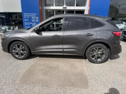 Photo 7 Ford Kuga  2.0 EcoBlue 150ch mHEV ST-Line Business