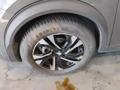 Photo 14 Peugeot 2008  PureTech 130 S&S EAT8 Allure