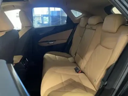 Photo 12 Lexus Nx  450h+ Executive 4WD