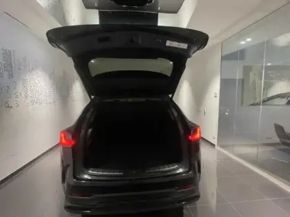 Photo 10 Lexus Nx  450h+ Executive 4WD