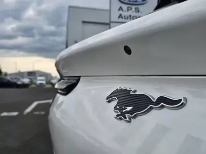 Photo 20 Ford Mustang  MACH-E STANDARD RANGE 72,6 KWH 269