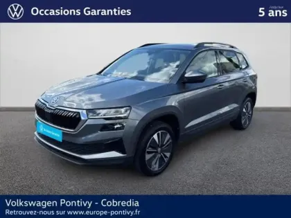 Photo Skoda Karoq Business