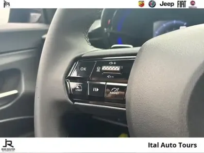 Photo 13 Alfa Romeo Junior  Ibrida Speciale e-DCT6