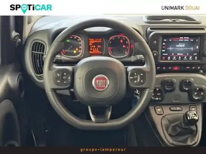 Photo 11 Fiat Panda  1.0 70ch BSG S&S  Cross