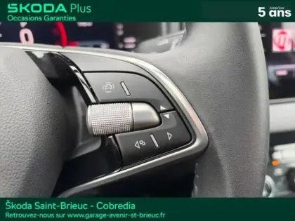 Photo 13 Skoda Karoq  2.0 TDI 150ch SCR Selection 4x2 DSG7