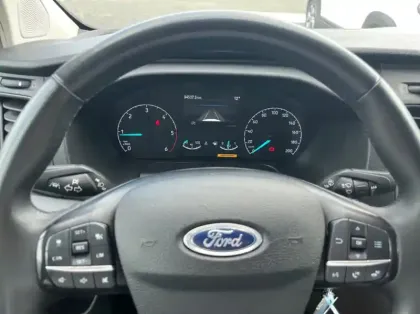 Photo 20 Ford Custom Fg 300 L2H2 2.0 EcoBlue 130 Trend Business 7cv