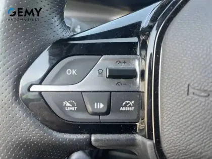 Photo 17 Peugeot 308  Electrique 54 kWh 156ch