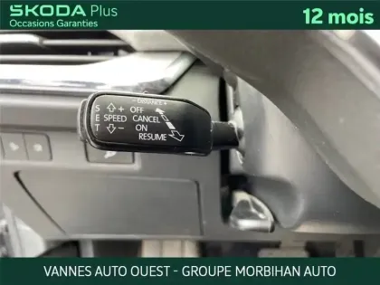 Photo 46 Skoda Enyaq IV 85