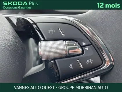 Photo 45 Skoda Enyaq IV 80