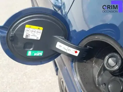 Photo 19 Ford Puma  1.0 Flexifuel 125 ch mHEV S&S BVM6