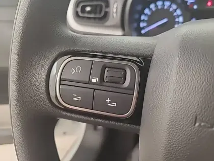 Photo 46 Citroën C3  PureTech 110 S&S BVM6