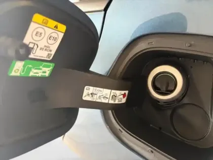 Photo 9 Ford Focus  1.0 EcoBoost mHEV 155ch ST-Line X Powershift