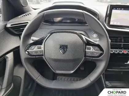 Photo 15 Peugeot 2008  100 S&S BVM6