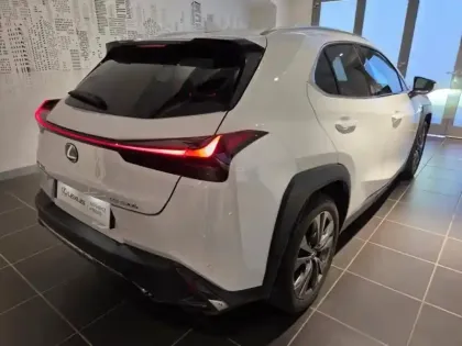 Photo 14 Lexus UX  300h F SPORT Design 2WD MC25