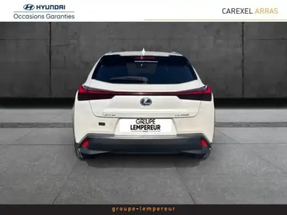 Photo 6 Lexus UX  250h 2WD Executive MY20
