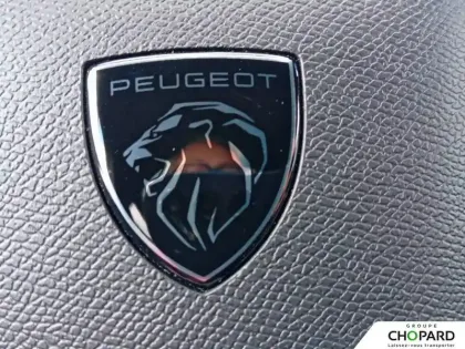 Photo 20 Peugeot 2008  Hybrid 145 e-DCS6