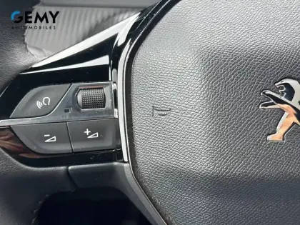 Photo 11 Peugeot 2008  PureTech 100 S&S BVM6