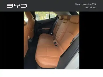 Photo 5 Lexus UX  250h 2WD F SPORT Executive MY20